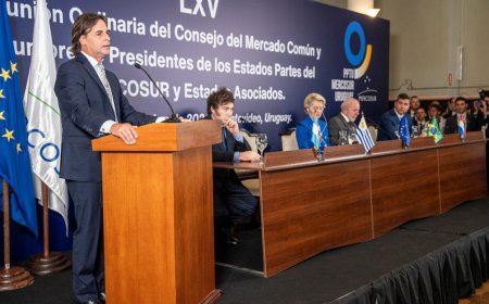 De «inaceptable» a «puñalada por la espalda», ira francesa contra el acuerdo UE-Mercosur