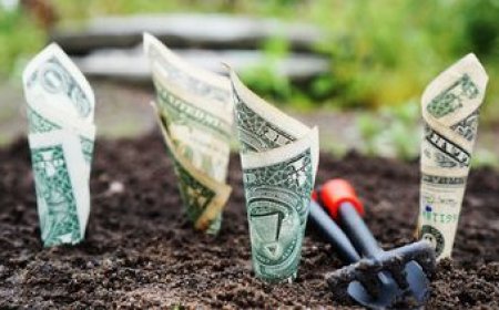 ¿Cuánto recaudaron las AFAP durante el tercer trimestre?