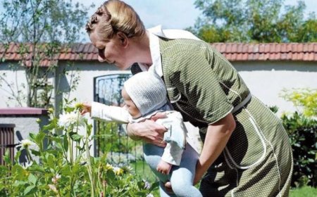 Las mejores películas internacionales del año 2024