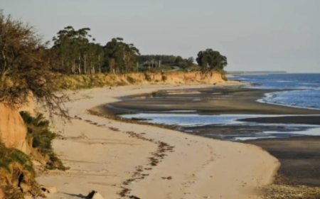 Arazatí: el proceso judicial no termina pese a la anulación de la sentencia inicial