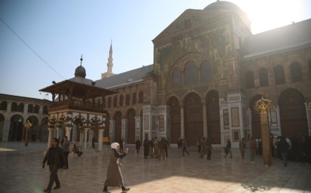 Insurgentes piden a los millones de sirios en el extranjero volver a «construir el futuro»