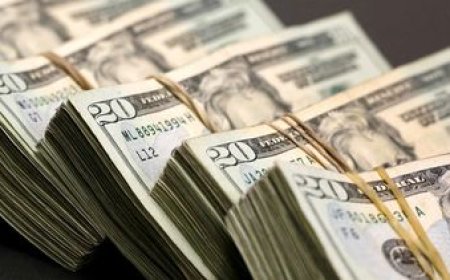 El dólar abrió la semana al alza y se acercó a la franja de los $ 44