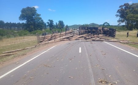 Vuelco de camión obstruyó la circulación en ruta 8
