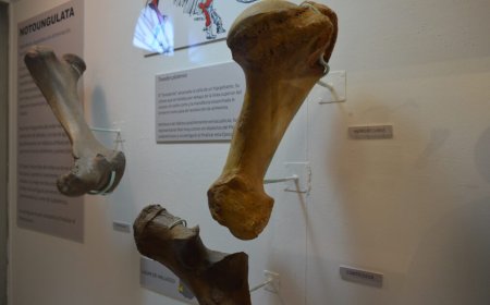 Soriano: Inauguraron la remodelación del ala central del Museo Berro