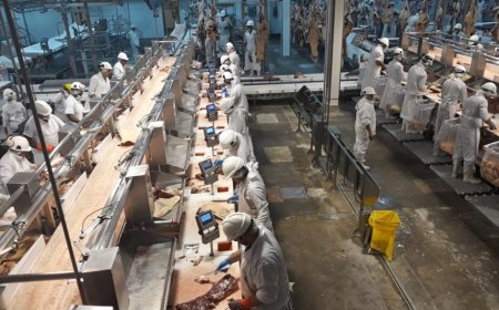 Trabajadores del frigorífico BPU se movilizaron por conflicto laboral