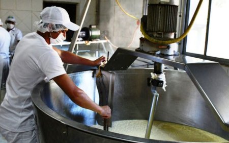 Federación Láctea convoca a paro nacional y movilización frente al MTSS