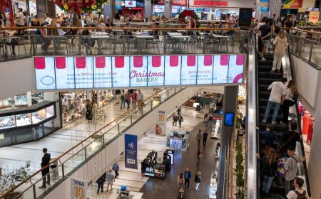 El desempleo baja a 7,2% en noviembre y la tasa de empleo alcanzó el 59,8%