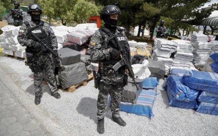 Ecuador supera este año las 282 toneladas de drogas decomisadas, un 29 % más que en 2023