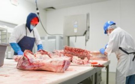 Conflicto en frigoríficos: el sindicato no descarta retomar las negociaciones