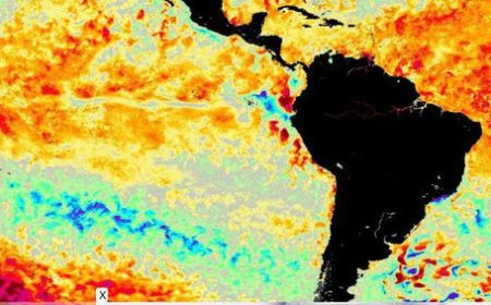 MetSul advierte por la llegada de La Niña: ¿qué pasará con las temperaturas en Uruguay?