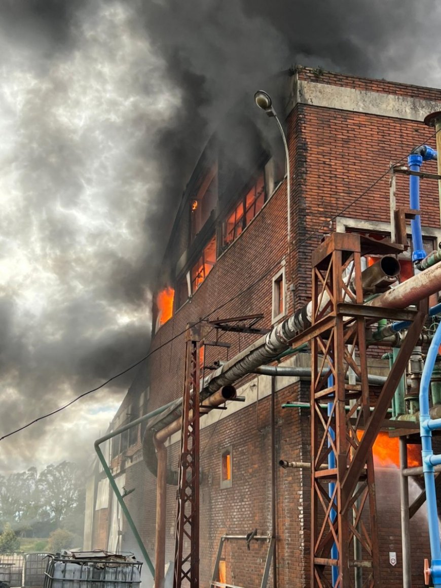 Montevideo: Incendio en galpón industrial de Paso Carrasco