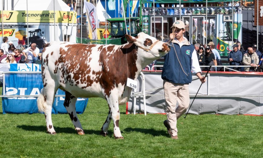 Bachillerato Agrario asegurará la continuidad educativa en la Facultad de Veterinaria