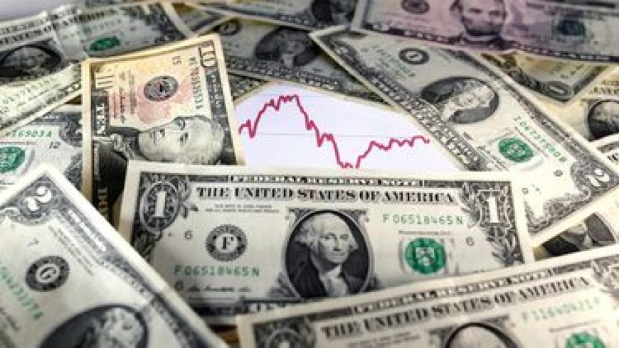 El dólar cerró el año con un aumento del 12,93%