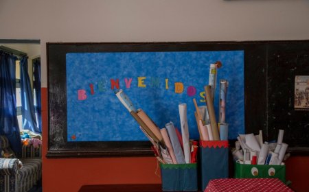 El programa Escuelas de Verano recibió unas 18.000 inscripciones