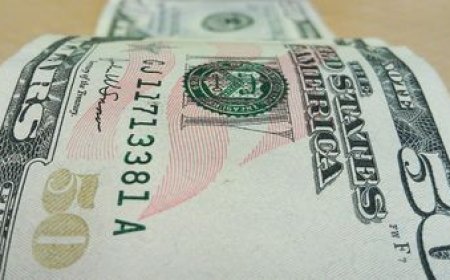 El dólar cayó y alcanzó su valor más bajo en un mes