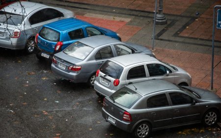 Ya se puede consultar el valor de la patente 2025