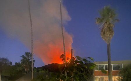 Aumentan a 24 los muertos por los incendios forestales en Los Ángeles