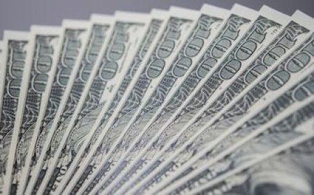 El dólar abrió la semana al alza y alcanzó un nuevo máximo en lo que va del año