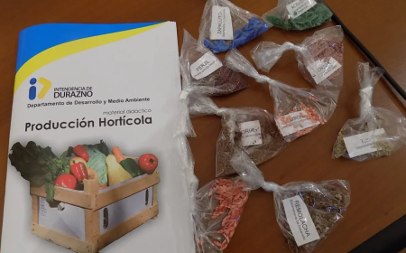 Formularios disponibles Plan Huertas Familiares