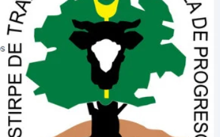 Llamado a concurso: Secretario Administrativo Grado 9 en Sarandí del Yi