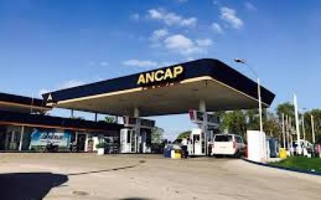 Un hombre causó disturbios en estación de servicio y fue condenado a prisión.