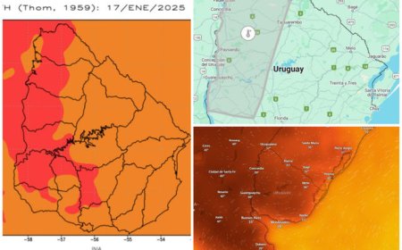 Comienza la anunciada ola de calor y advierten por “estrés térmico” en humanos y animales