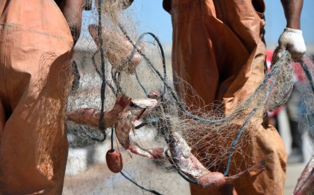 En 2024 se perdieron mil empleos en la pesca comercial en Uruguay