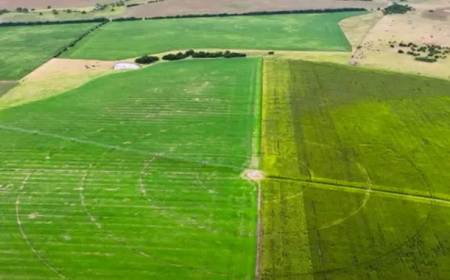 INIA presentó tres videos sobre riego suplementario en cultivos y pasturas