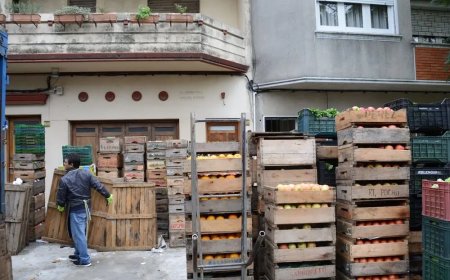 Uruguay entre los tres países de Sudamérica con mayor porcentaje de personas que no accede a una dieta saludable debido a los precios