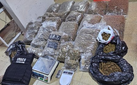 Incautaron más de 40 kilos de marihuana en Aceguá en un operativo binacional