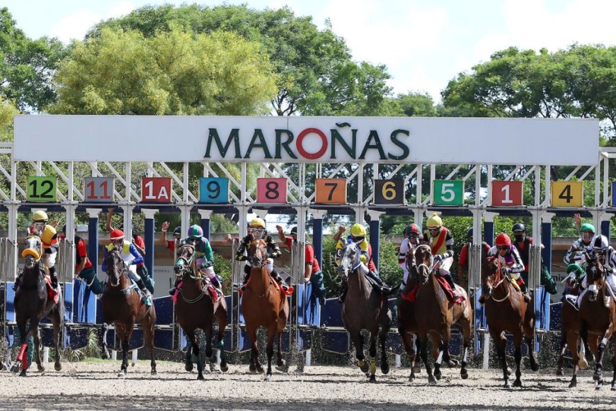 Se corre este lunes el Gran Premio Ramírez