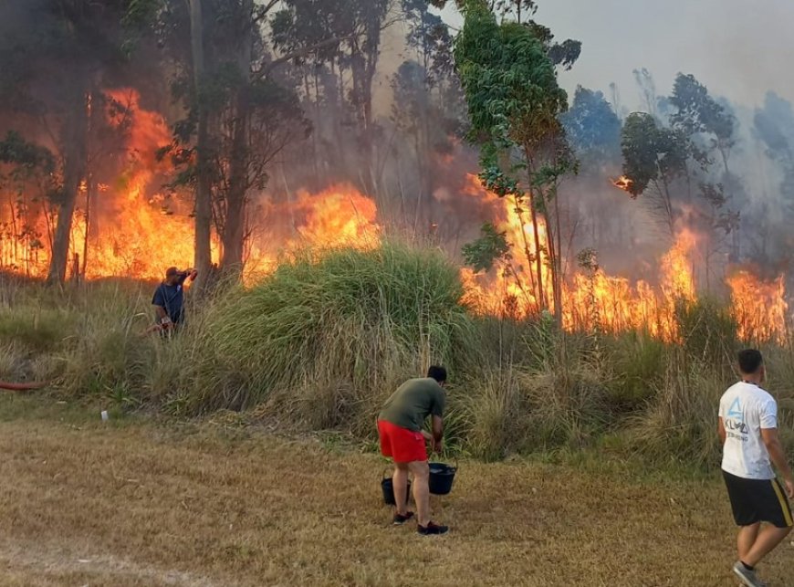 Desde el 20 de diciembre, más de 260 intervenciones para controlar incendios forestales