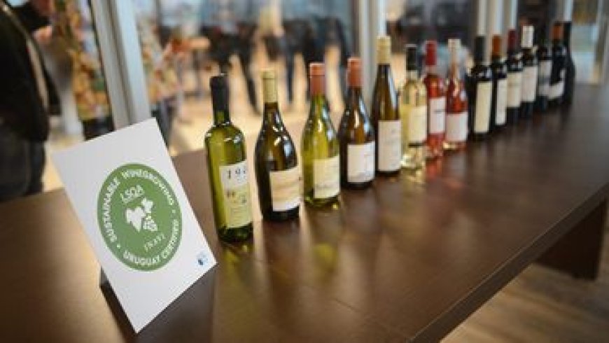 Las exportaciones de vino aumentaron 40% en 2024