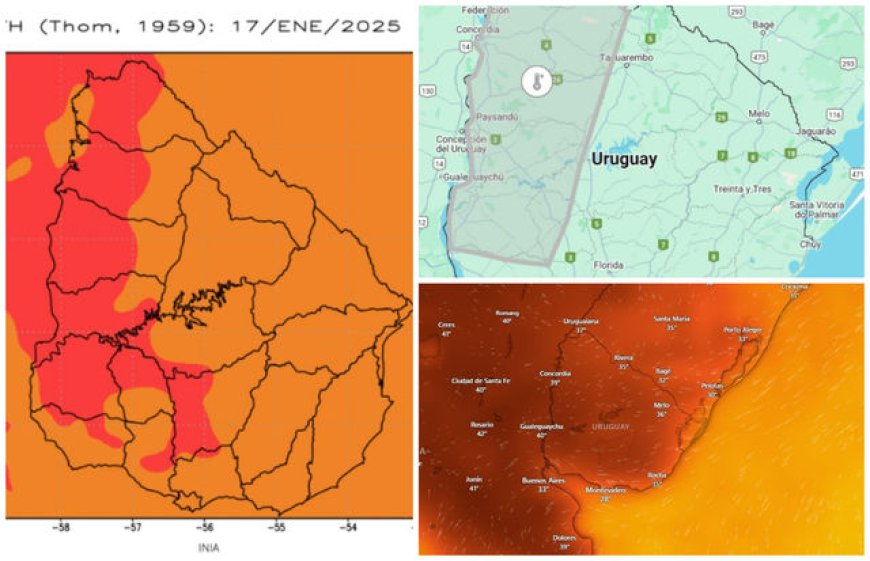 Comienza la anunciada ola de calor y advierten por “estrés térmico” en humanos y animales