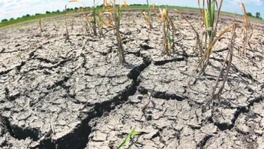 ¿Otra sequía?, alertan por una probabilidad del 60% de que vuelva La Niña