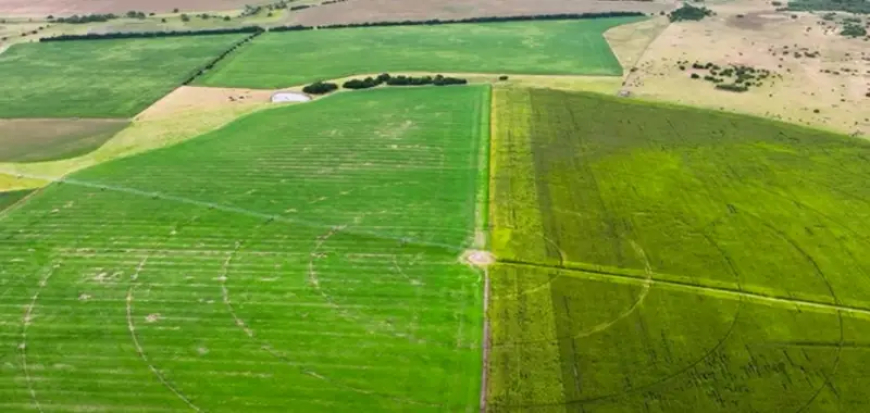 INIA presentó tres videos sobre riego suplementario en cultivos y pasturas