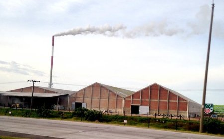 Trabajadores de la industria química responden a la propuesta de reestructuración de Isusa