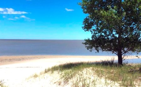 El TCA rechazó el recurso de nulidad contra el proyecto Arazatí