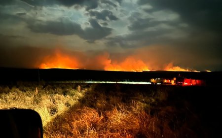 Son más de 4 mil hectáreas las afectadas por el incendio de campo ocurrido en Salto