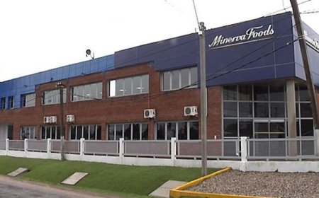 Minerva insiste con la compra de frigoríficos y genera rechazo del empresariado y el sistema político