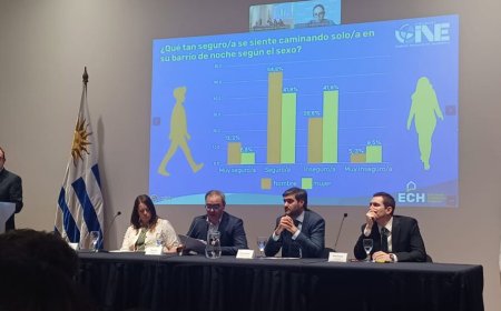 Encuesta Continua de Hogares: 34,5 % se siente inseguro en su barrio al caminar de noche