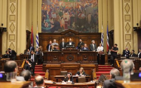 Asumieron los nuevos integrantes de la Cámara de Diputados