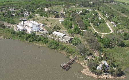 Frigorífico Casa Blanca redujo faena y enviará a más de 400 trabajadores al seguro tras afectación por Conexión Ganadera