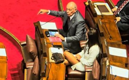 Fuertes críticas a las calificadoras de riesgo y a la ONU, así fue el debut de Gustavo Salle en el Parlamento