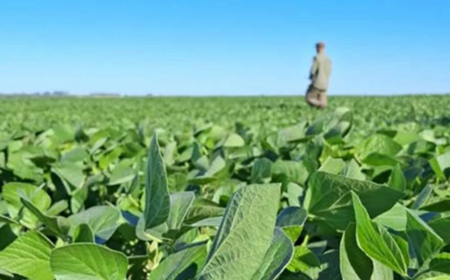 Puesta a punto de los cultivos de verano