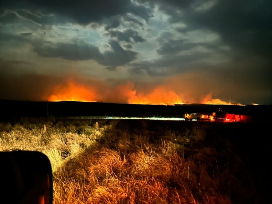 Son más de 4 mil hectáreas las afectadas por el incendio de campo ocurrido en Salto