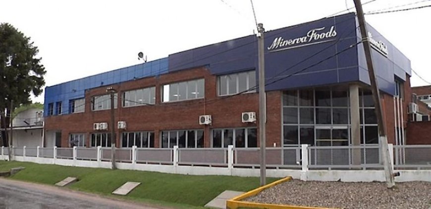 Minerva insiste con la compra de frigoríficos y genera rechazo del empresariado y el sistema político