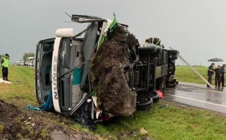 Ómnibus de la empresa Núñez volcó en ruta 8: reportan fallecidos y heridos