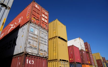 Solicitudes de exportación cayeron 5% en febrero, en comparación con el mismo mes de 2024