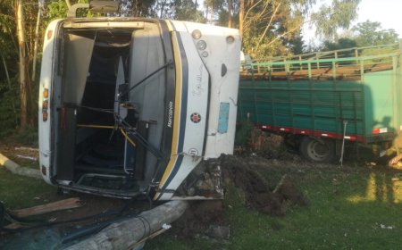 Un ómnibus de la empresa Tala Pando volcó tras ser impactado por un camión